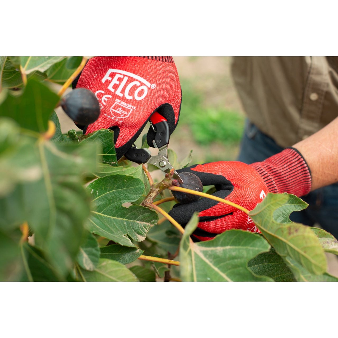 Felco 320 Picking and Trimming Snips