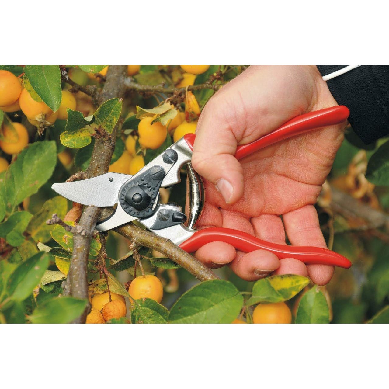 Felco 6 Ergonomic Compact Bypass Pruner F6